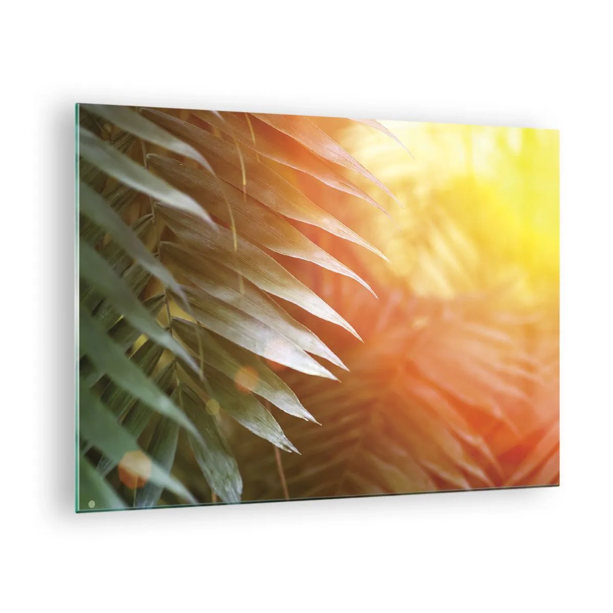 Quadro em vidro - Folhas de palmeira sob o brilho do sol da manhã em um ambiente tropical - 70x50cm - Manhã na selva - Decoração de parede moderna para a sala de estar e quarto ARTTOR