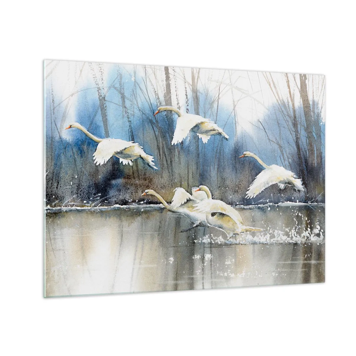 Quadro em vidro - Cisnes selvagens voando sobre um tranquilo lago na floresta - 70x50cm - Como no conto de fadas sobre cisnes selvagens - Decoração de parede moderna para a sala de estar e quarto ARTTOR