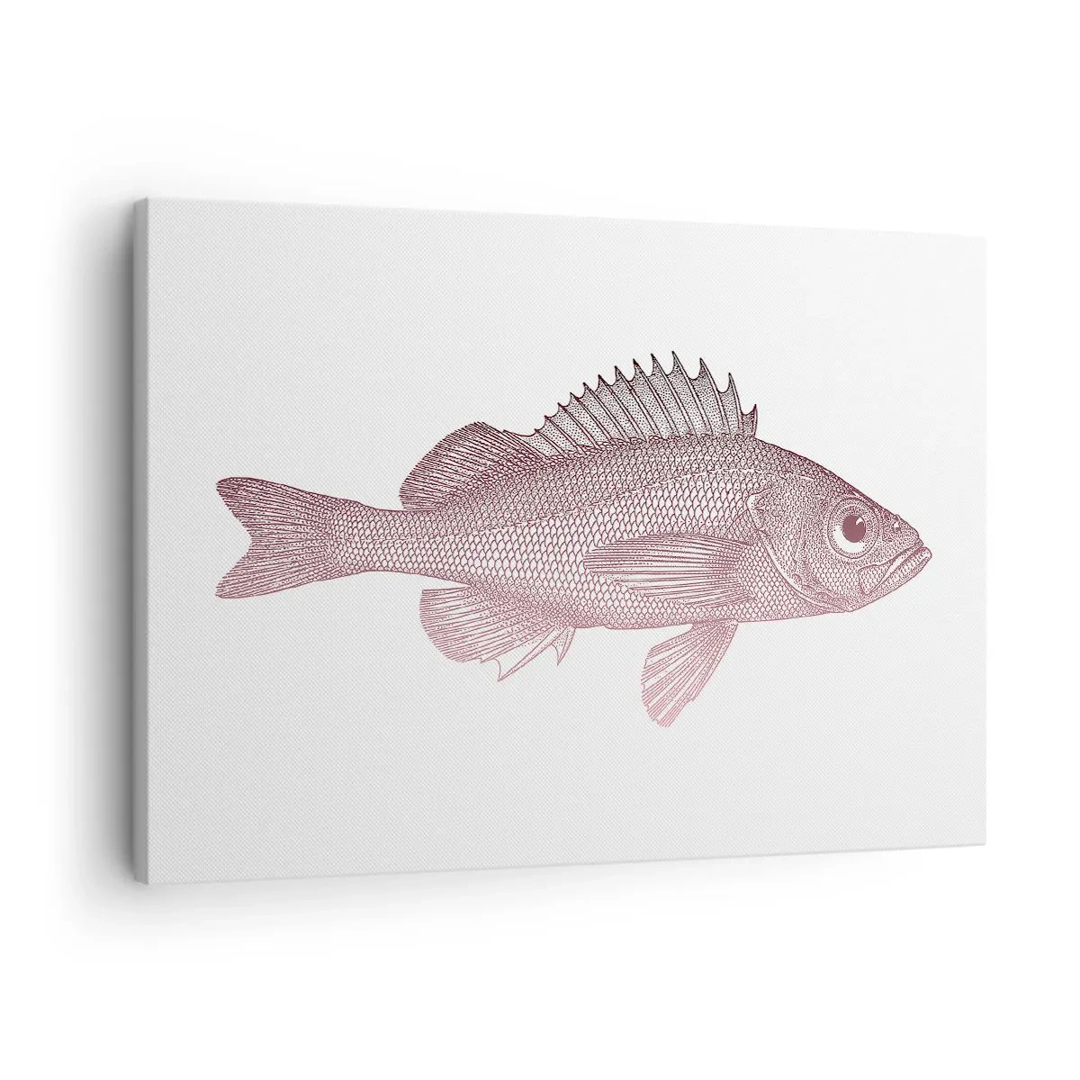 Quadro em tela - Ilustração detalhada de um peixe em um fundo branco - 70x50cm - Peixe de olhos grandes - Decoração de parede moderna para a sala de estar e quarto ARTTOR