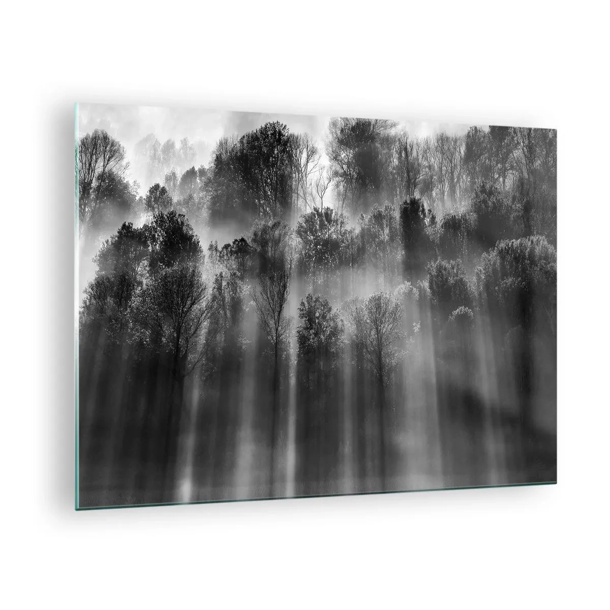 Quadro em vidro - Raios de luz pretos e brancos penetrando na floresta - 70x50cm - Em correntes de luz - Decoração de parede moderna para a sala de estar e quarto ARTTOR