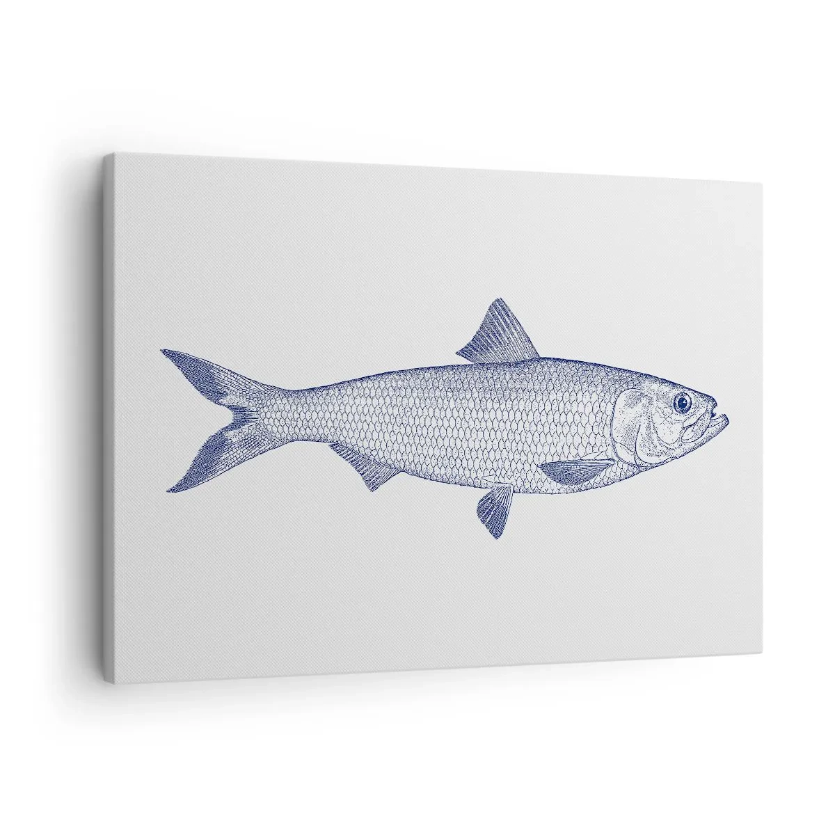 Quadro em tela - Ilustração de um peixe em tons de azul sobre fundo claro - 70x50cm - Saudações dos mares do norte - Decoração de parede moderna para a sala de estar e quarto ARTTOR