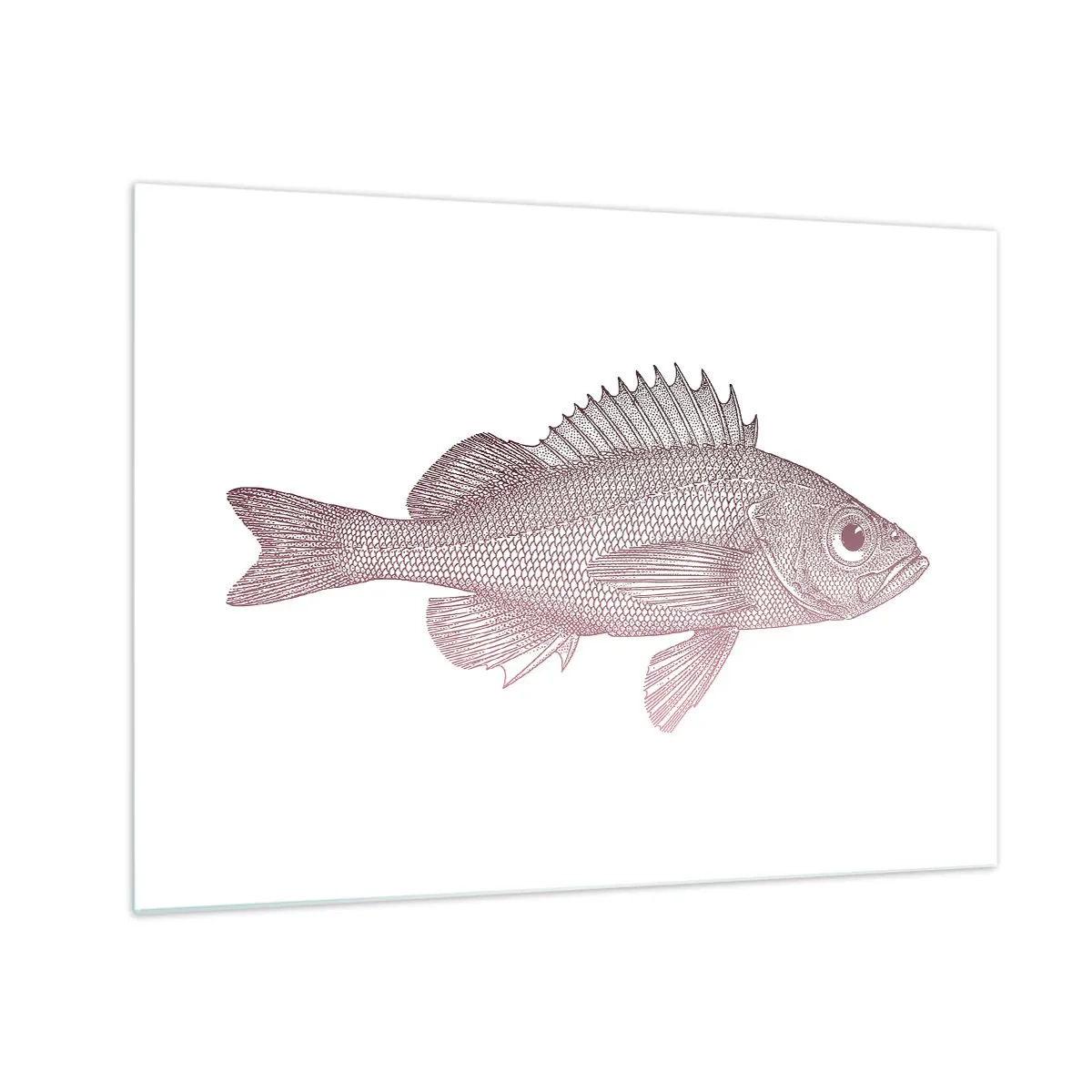 Quadro em vidro - Gráfico de um peixe com um olho grande em estilo retrô sobre fundo branco - 70x50cm - Peixe de olhos grandes - Decoração de parede moderna para a sala de estar e quarto ARTTOR