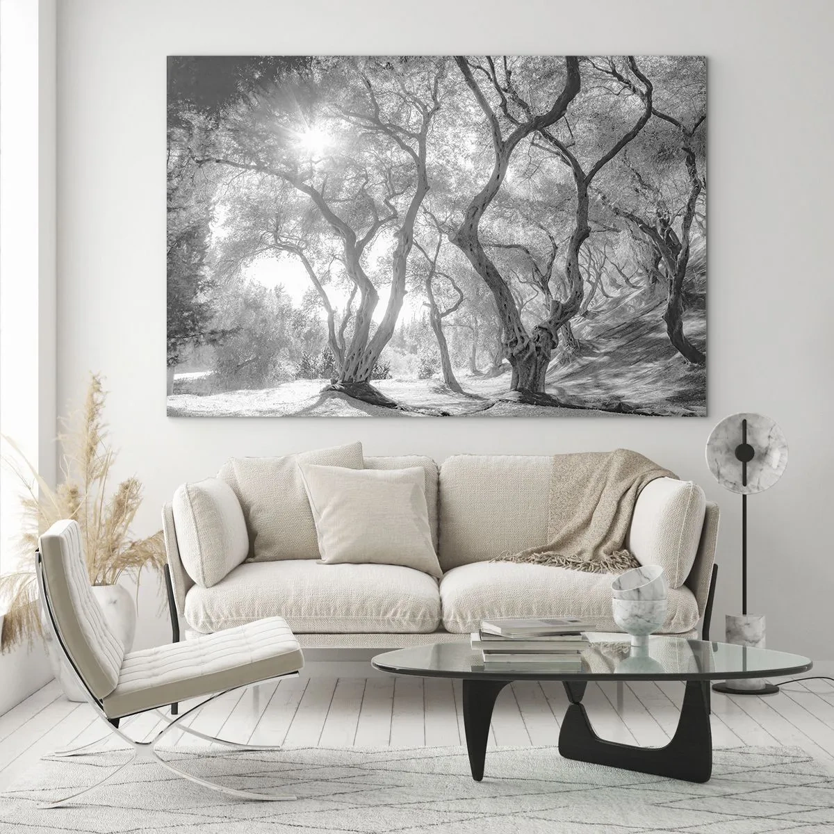 Quadro em vidro - Oliveiras pretas e brancas sob a luz do sol - 70x50cm - No olival - Decoração de parede moderna para a sala de estar e quarto ARTTOR