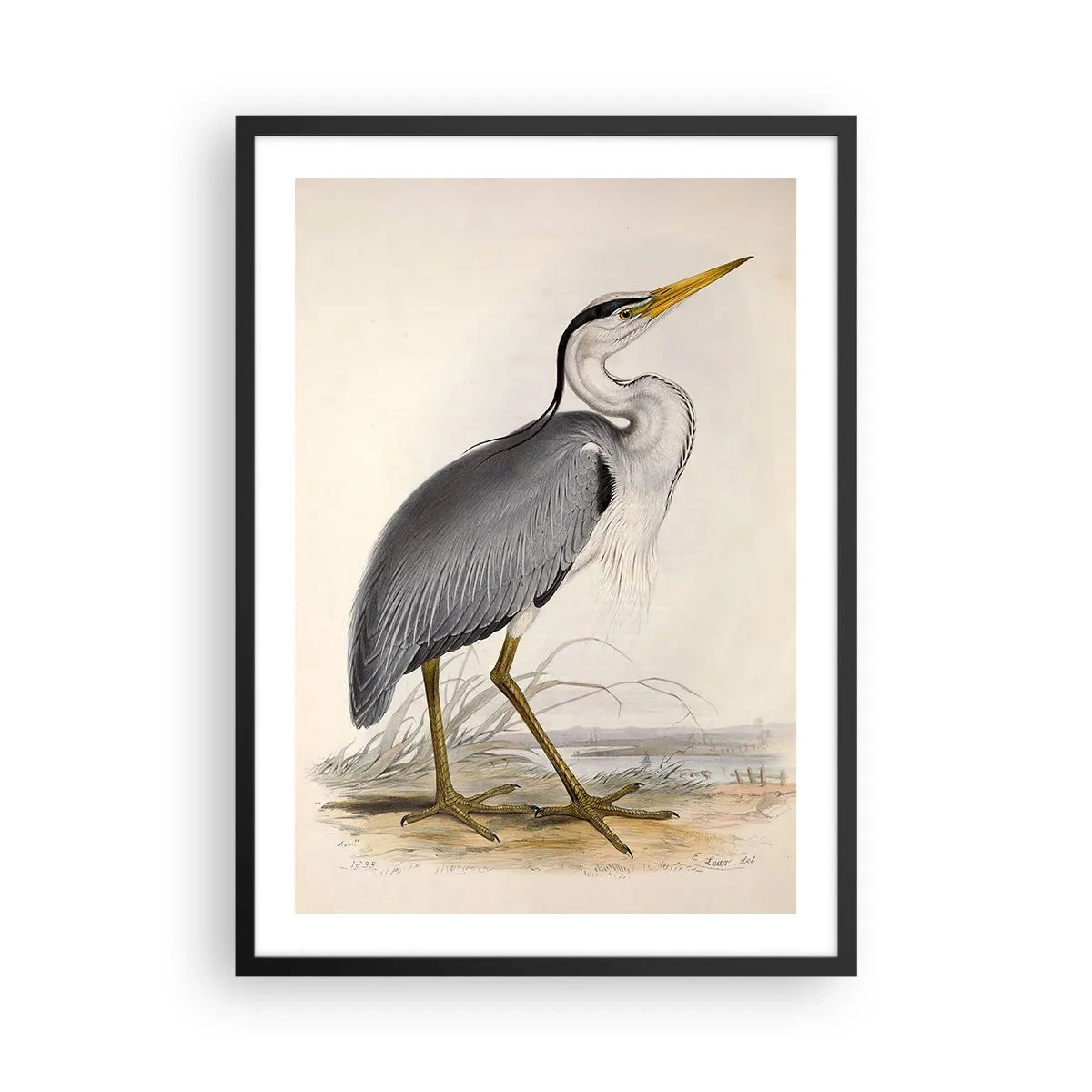 Pôster com moldura preta - Graça de Heron - 50x70cm - Graça de garça - Decoração de parede moderna para a sala de estar e quarto ARTTOR