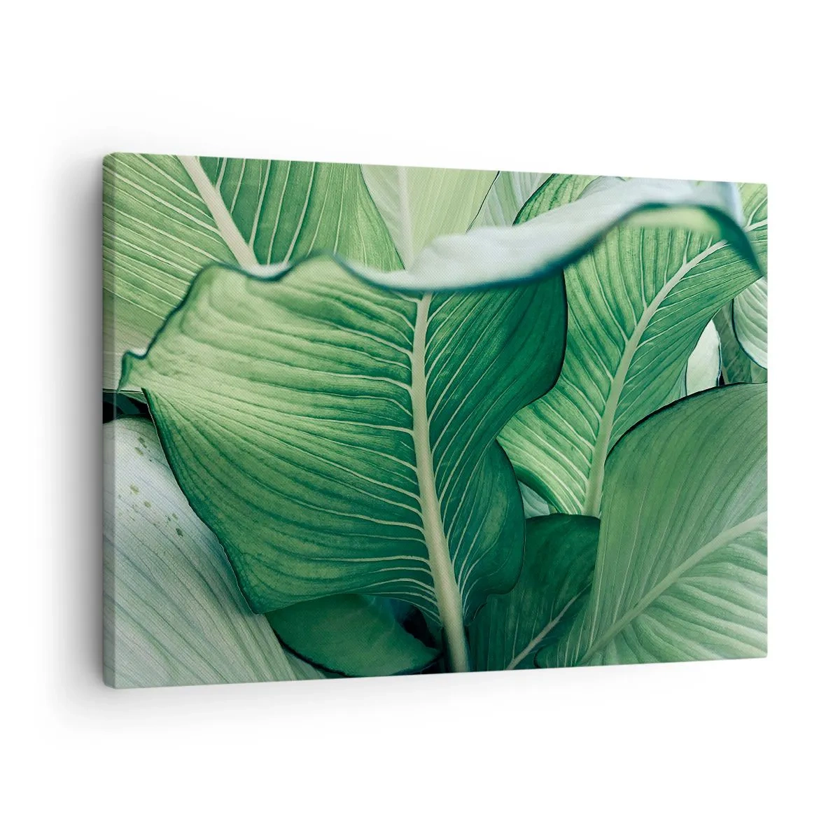 Quadro em tela - Folhas verdes com detalhes expressivos e estrutura - 70x50cm - Vida intensamente verde - Decoração de parede moderna para a sala de estar e quarto ARTTOR