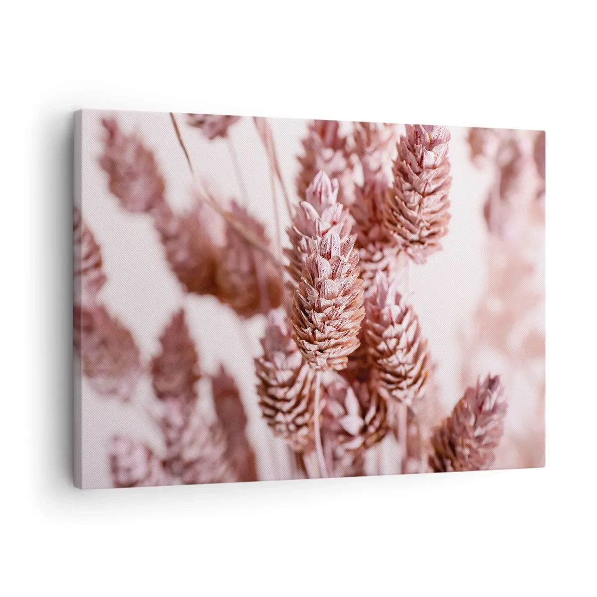 Quadro em tela - Um close-up das delicadas pontas rosadas das gramíneas ornamentais - 70x50cm - Aparentemente discreto - Decoração de parede moderna para a sala de estar e quarto ARTTOR