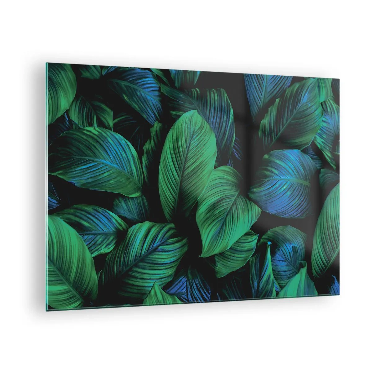 Quadro em vidro - Close-up de folhas em tons intensos de verde - 70x50cm - Na multidão verde - Decoração de parede moderna para a sala de estar e quarto ARTTOR