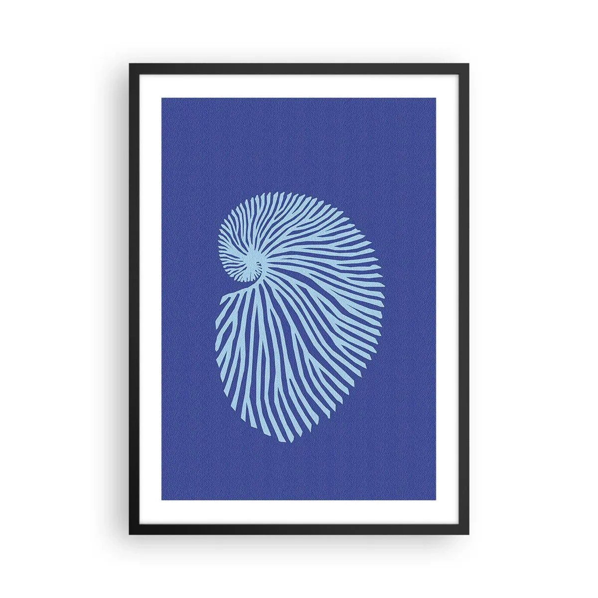 Pôster com moldura preta - Gráficos de conchas estilizados em um arranjo espiral - 50x70cm - O nascimento da concha - Decoração de parede moderna para a sala de estar e quarto ARTTOR
