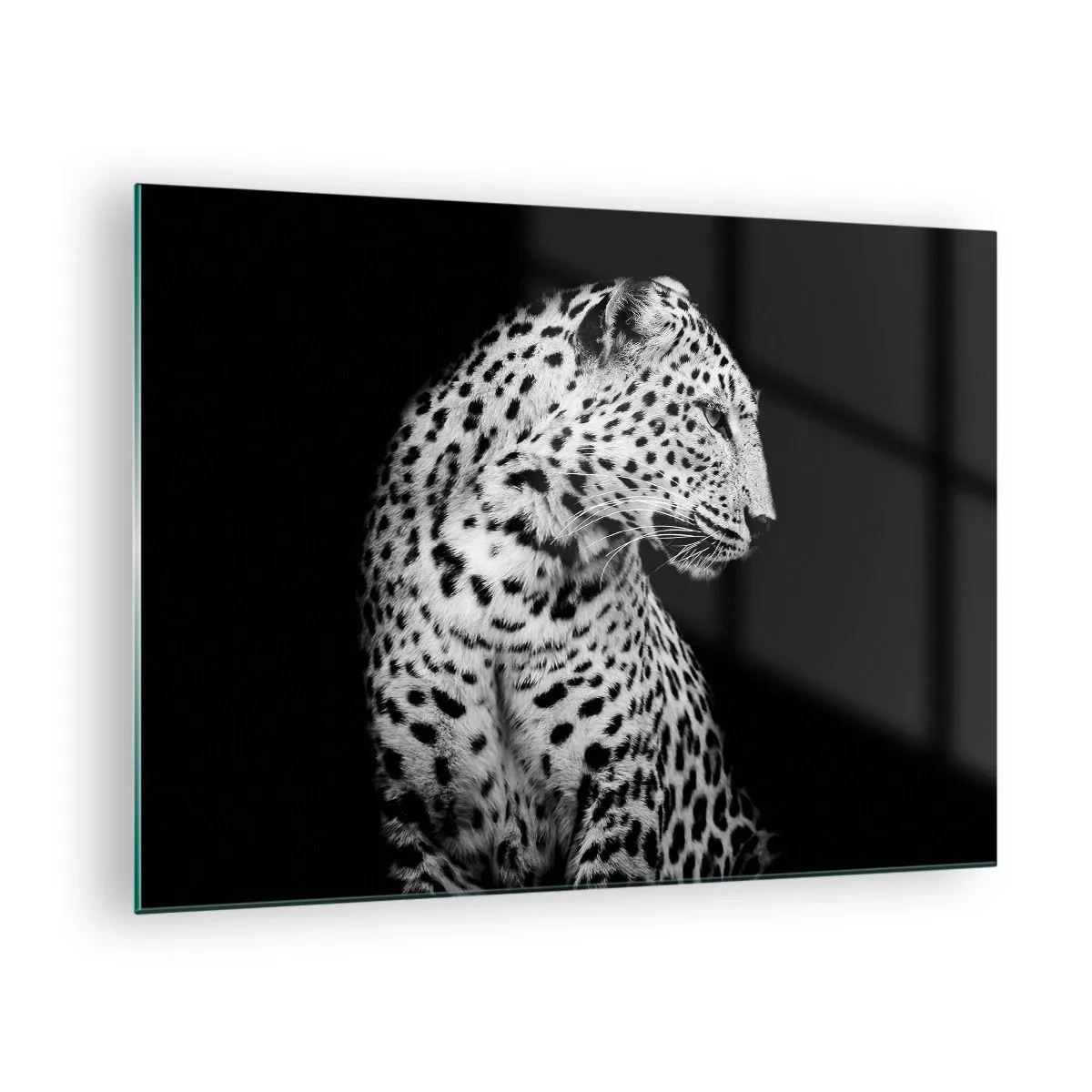 Quadro em vidro - Um leopardo em luz preta e branca contra uma janela - 70x50cm - Perfil direito perfeito! - Decoração de parede moderna para a sala de estar e quarto ARTTOR