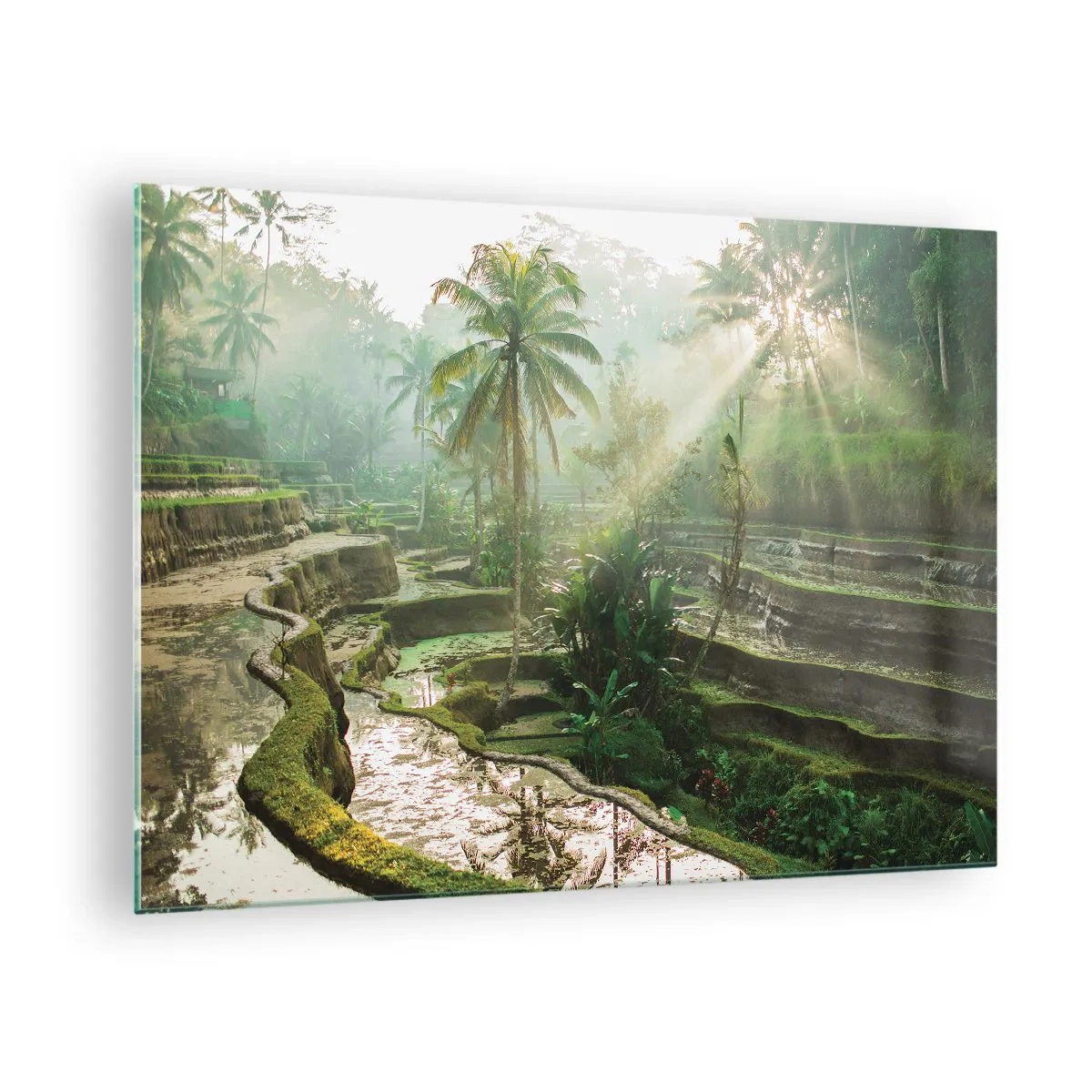 Quadro em vidro - Arrozais tropicais com palmeiras na névoa da manhã - 70x50cm - Crescer ao sol - Decoração de parede moderna para a sala de estar e quarto ARTTOR