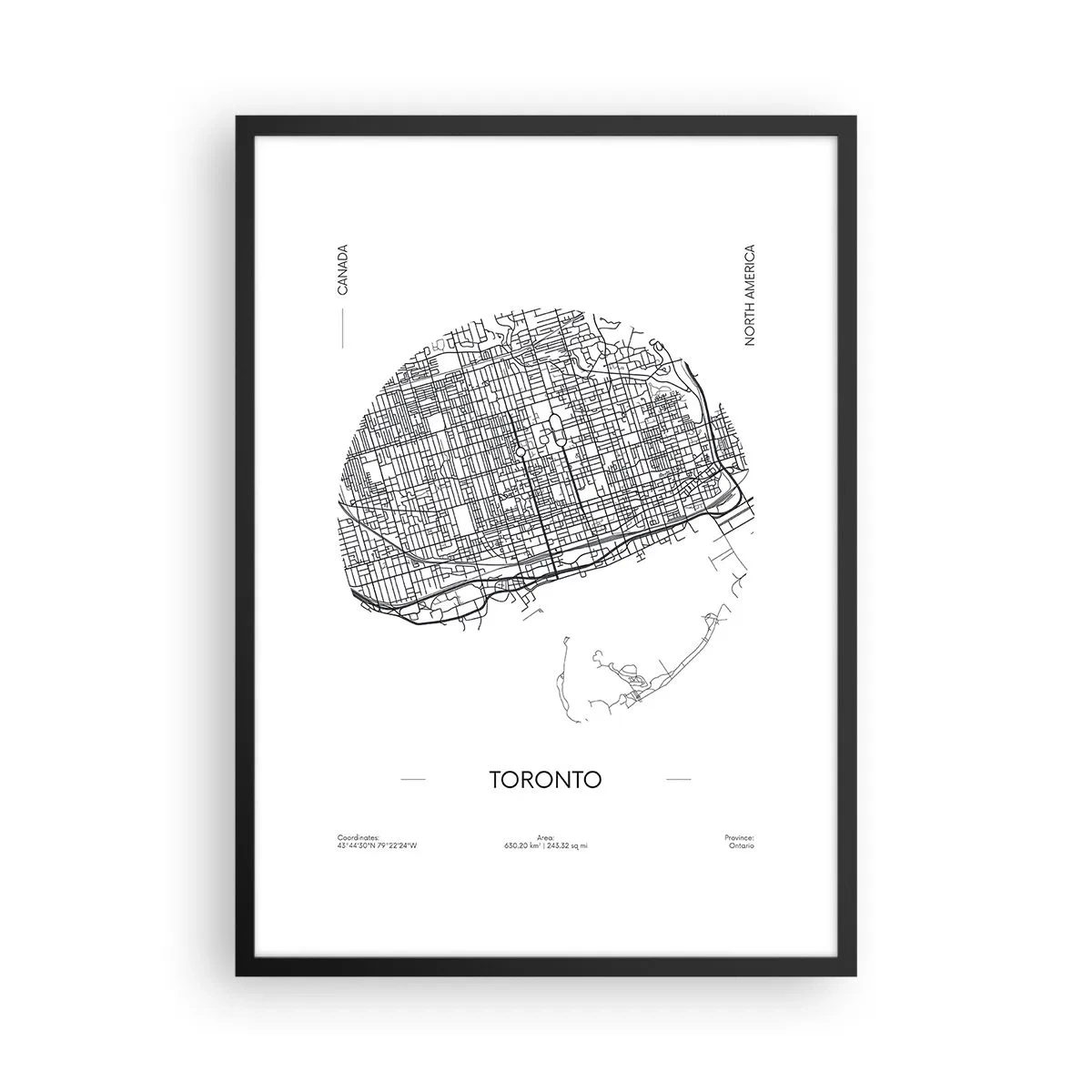 Pôster com moldura preta - Anatomia de Toronto - 50x70 cm
