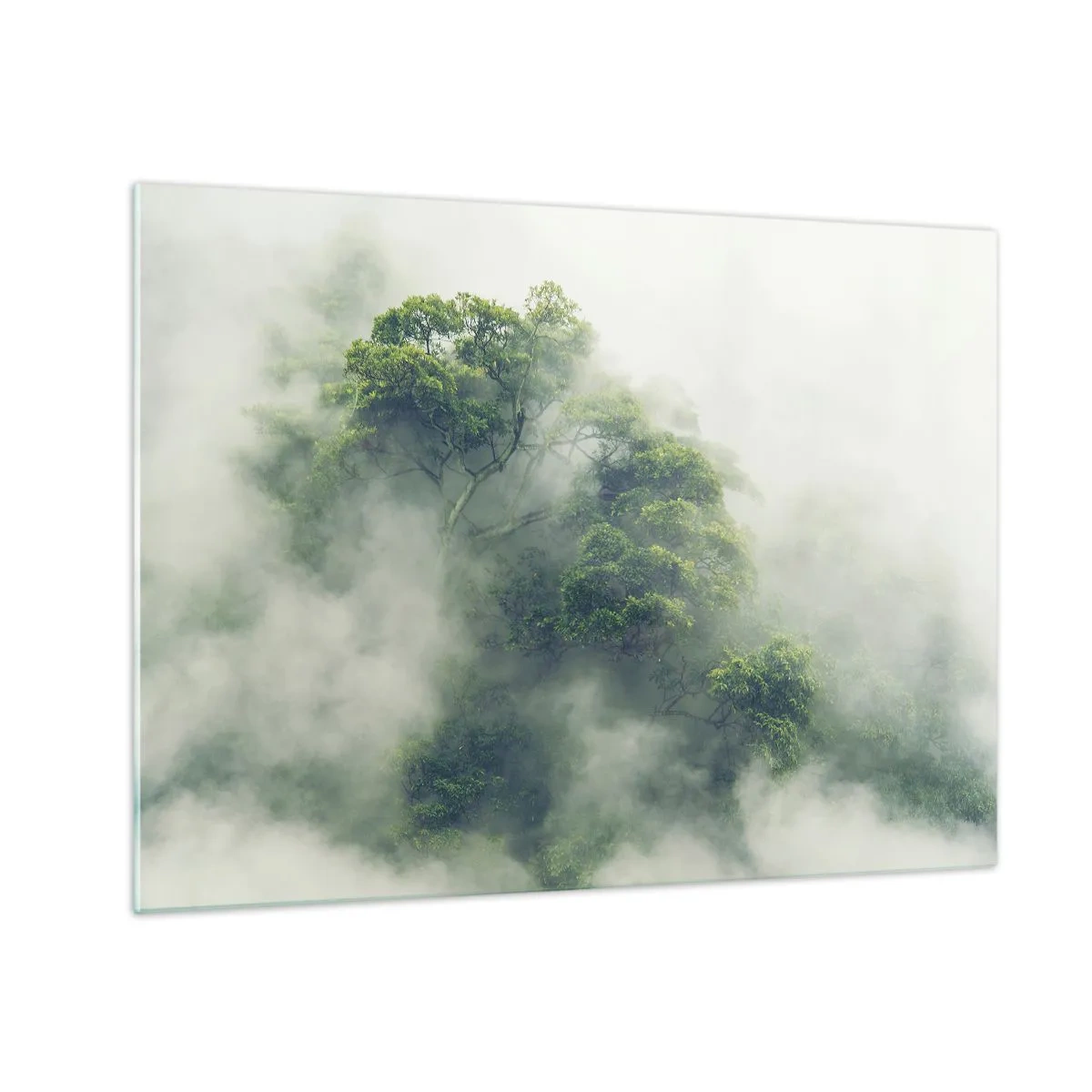 Quadro em vidro - Árvores da floresta tropical emergindo da névoa espessa - 70x50cm - Envolto em neblina - Decoração de parede moderna para a sala de estar e quarto ARTTOR