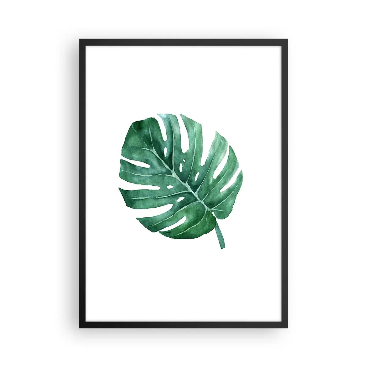 Pôster com moldura preta - Ilustração em aquarela de uma folha de monstera em um fundo branco - 50x70cm - Conceito verde - Decoração de parede moderna para a sala de estar e quarto ARTTOR