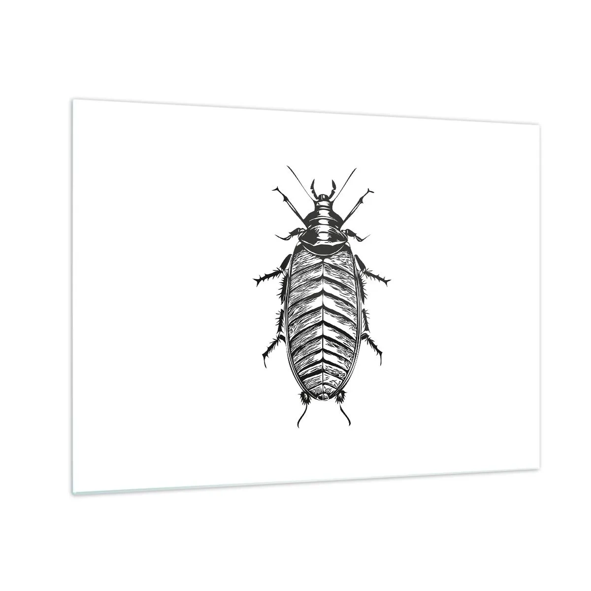 Quadro em vidro - Ilustração em preto e branco de um inseto em um fundo branco - 70x50cm - Que exemplo! - Decoração de parede moderna para a sala de estar e quarto ARTTOR
