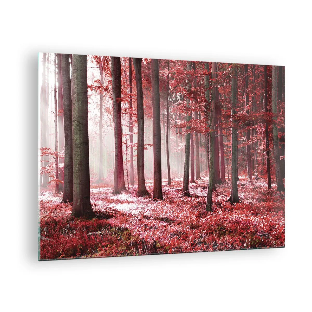 Quadro em vidro - Floresta de outono em cores vermelhas e neblina matinal - 70x50cm - O vermelho também é belo - Decoração de parede moderna para a sala de estar e quarto ARTTOR