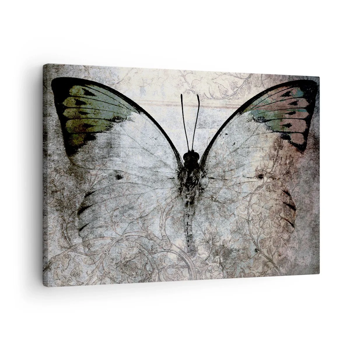 Quadro em tela - Uma borboleta em tons de verde e cinza sobre um fundo decorativo - 70x50cm - Estilo Art Nouveau - Decoração de parede moderna para a sala de estar e quarto ARTTOR