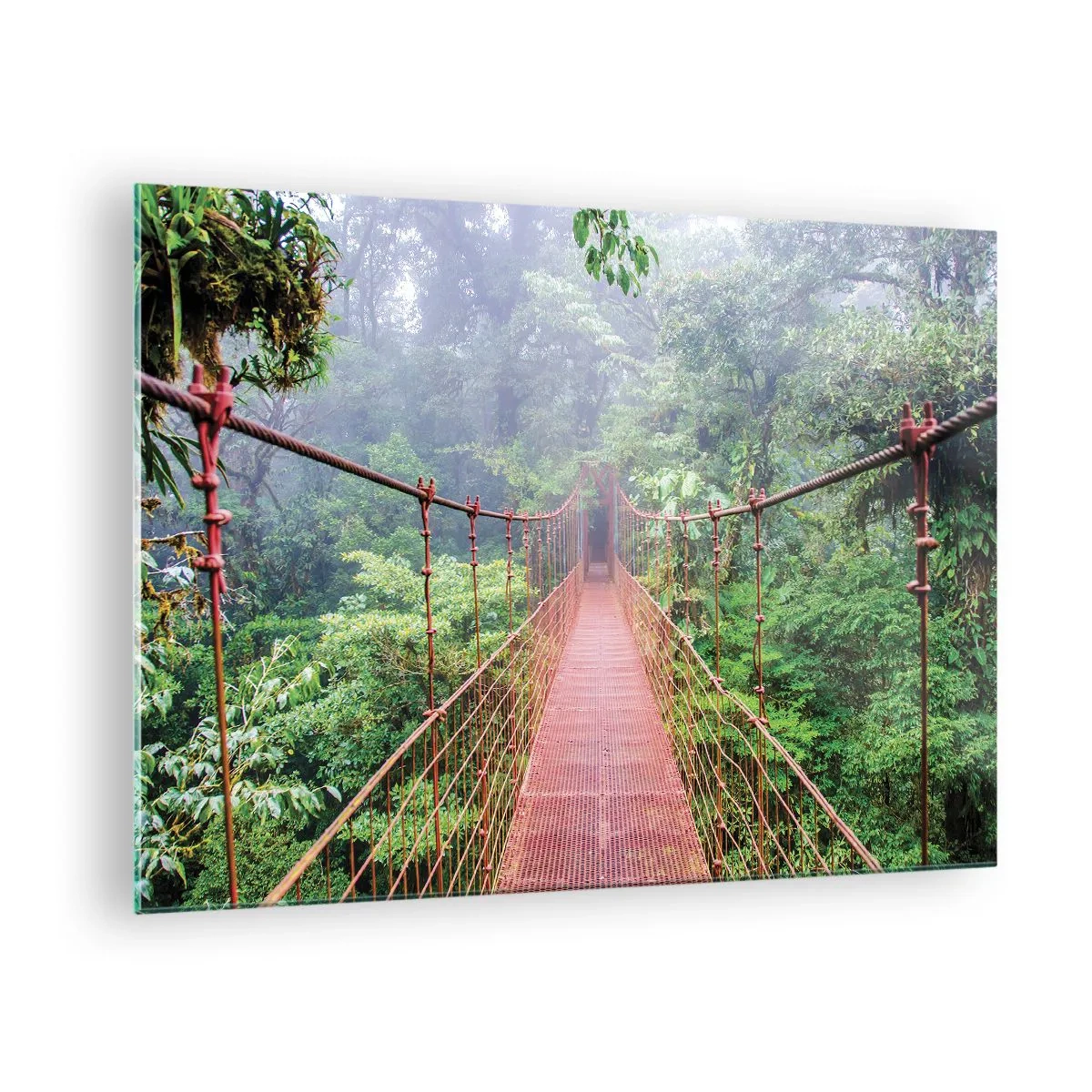 Quadro em vidro - Uma ponte suspensa vermelha sobre uma selva verde no nevoeiro - 70x50cm - Suspenso acima das copas - Decoração de parede moderna para a sala de estar e quarto ARTTOR