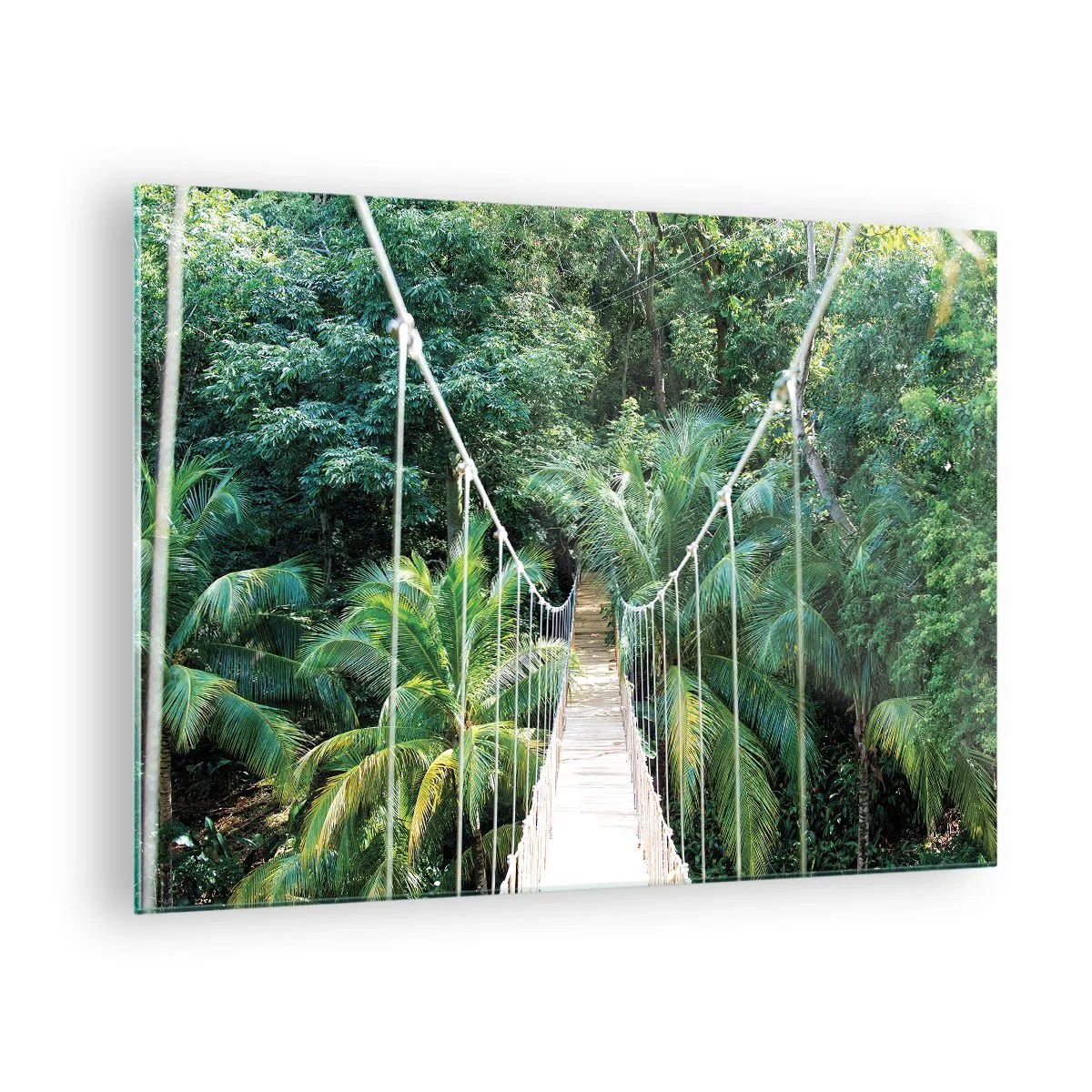 Quadro em vidro - Ponte suspensa em uma floresta tropical - 70x50cm - Bem-vindo à selva! - Decoração de parede moderna para a sala de estar e quarto ARTTOR
