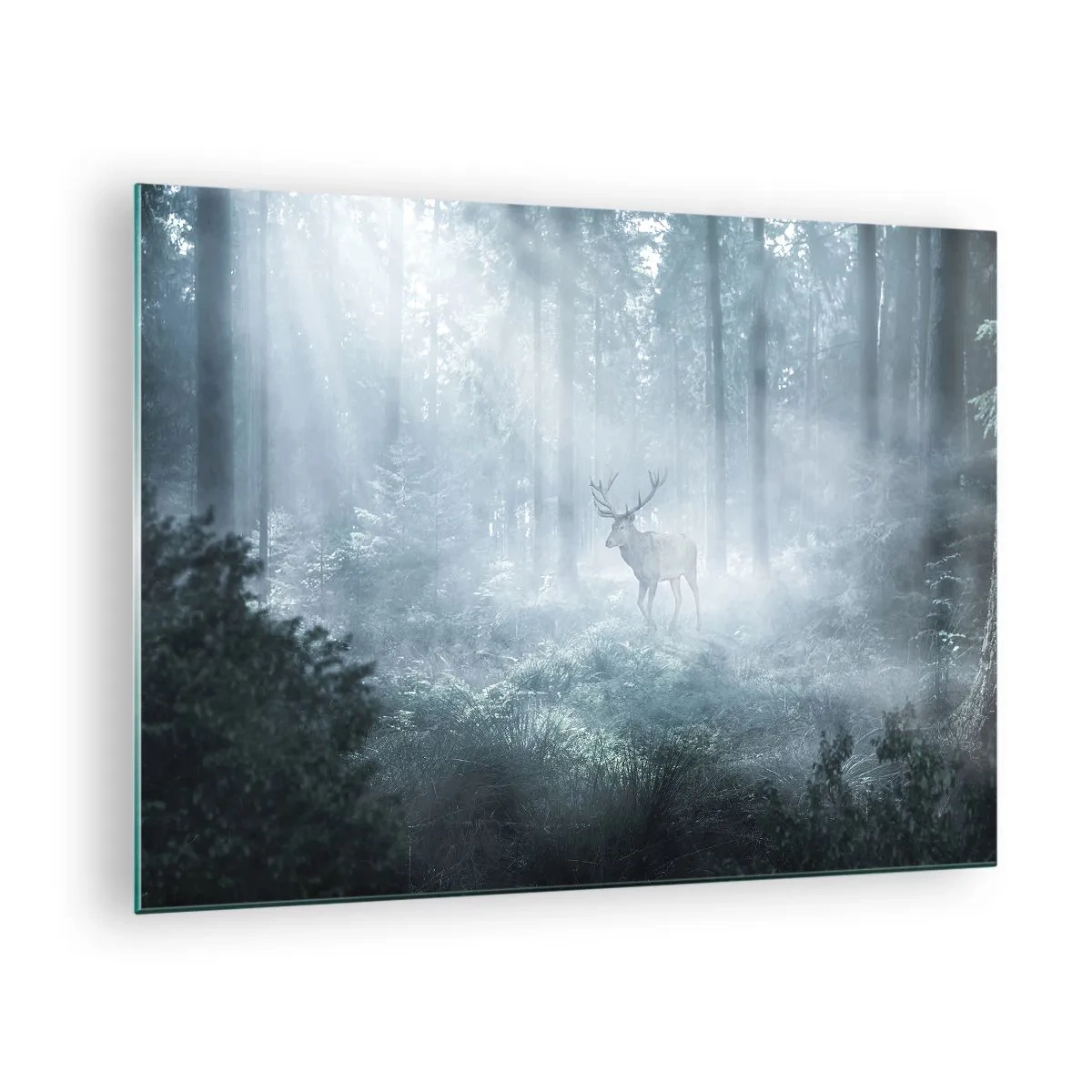 Quadro em vidro - Um cervo em uma floresta enevoada iluminada pelos raios do sol da manhã - 70x50cm - Passeio matinal à volta da propriedade - Decoração de parede moderna para a sala de estar e quarto ARTTOR