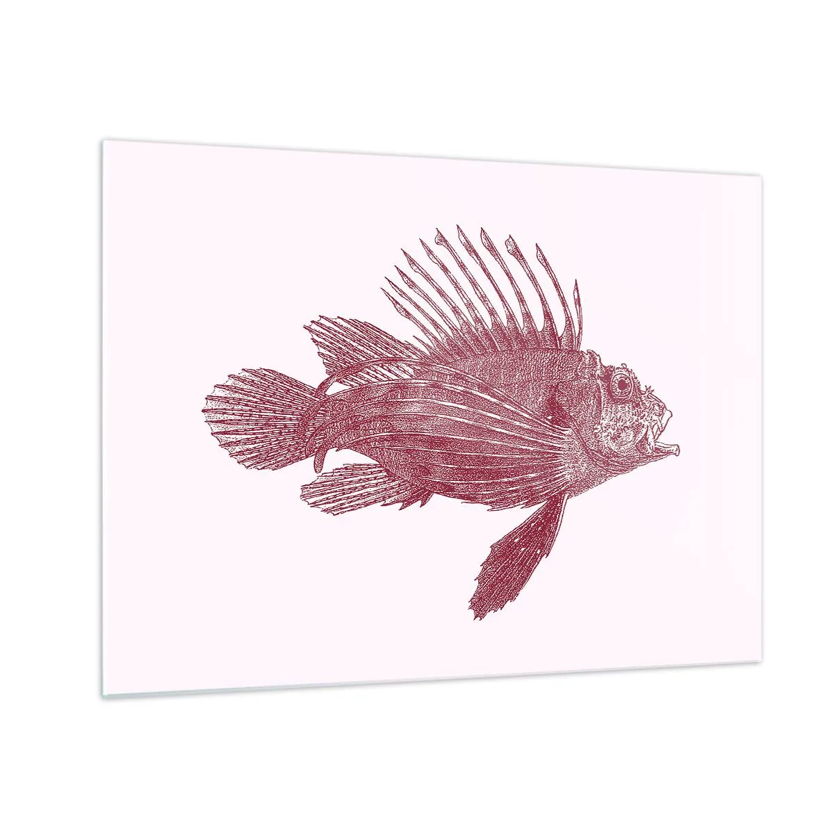 Quadro em vidro - Desenho de um peixe exótico na cor bordô sobre um fundo claro - 70x50cm - Um habitante de águas exóticas - Decoração de parede moderna para a sala de estar e quarto ARTTOR