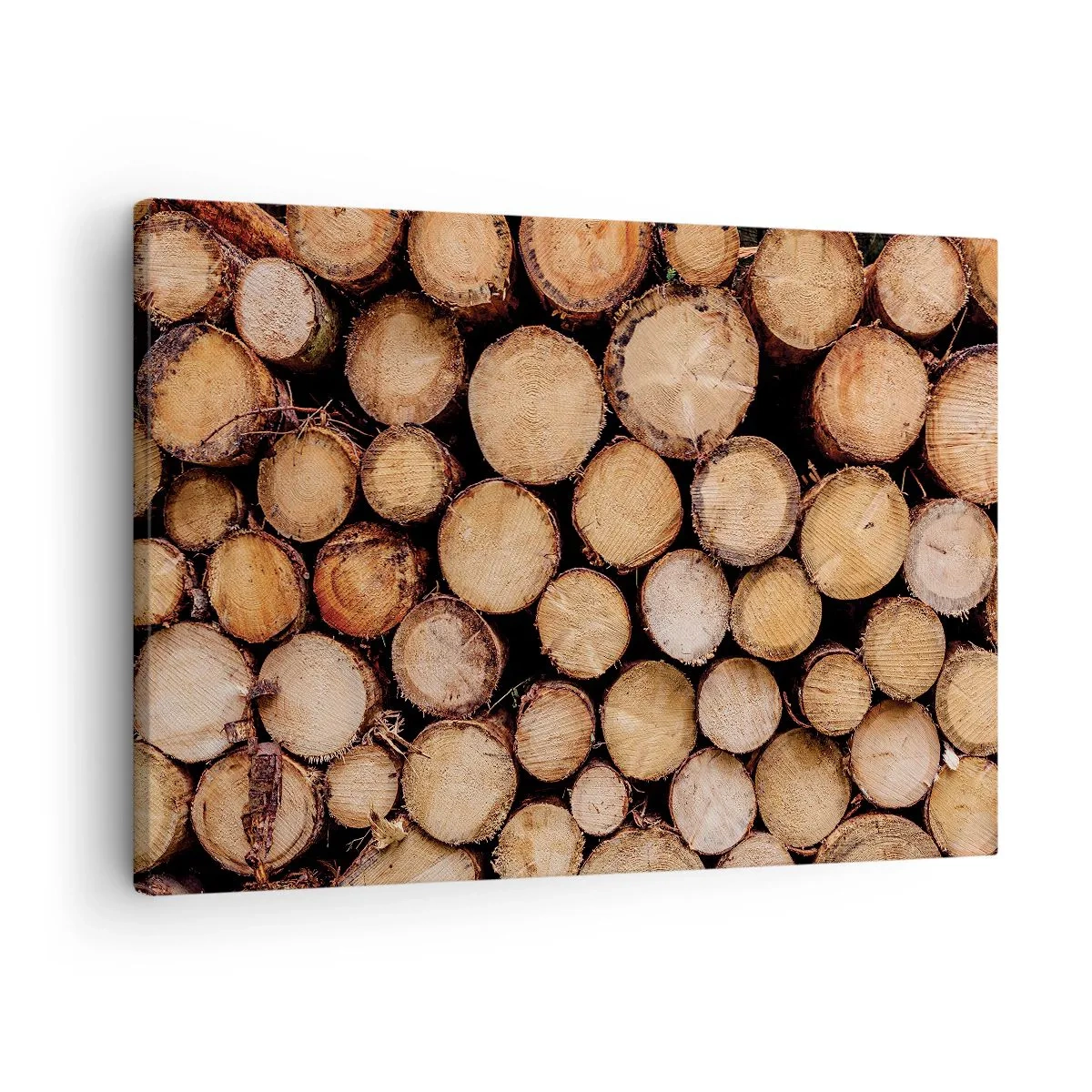Quadro em tela - Pilhas de troncos de árvores derrubadas dispostas em harmonia - 70x50cm - Um novo começo - Decoração de parede moderna para a sala de estar e quarto ARTTOR