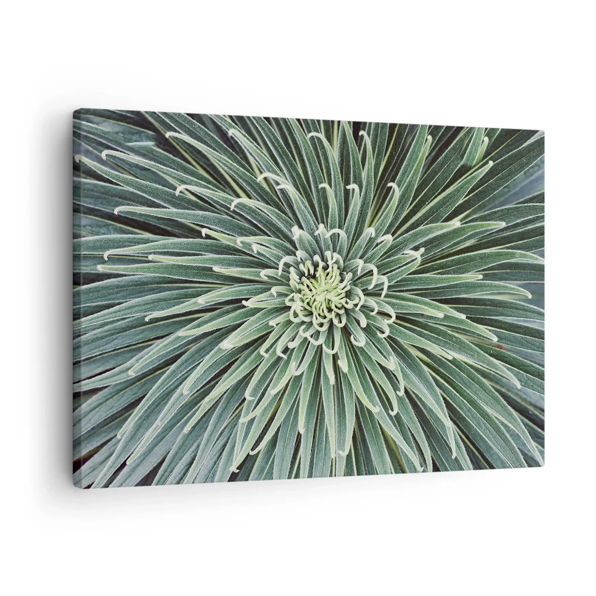 Quadro em tela - Arranjo simétrico de folhas verdes lembrando uma estrela - 70x50cm - Nasce uma estrela - Decoração de parede moderna para a sala de estar e quarto ARTTOR